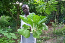 Farmer