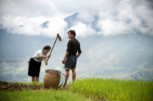 Farmer