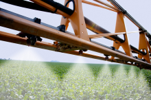 Spraying a soybean field